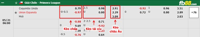 fb88-bảng kèo trận đấu Coquimbo Unido vs Union Espanola
