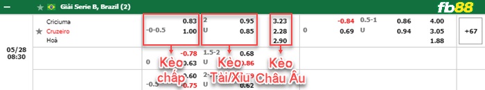 Fb88 bảng kèo trận đấu Criciuma vs Cruzeiro