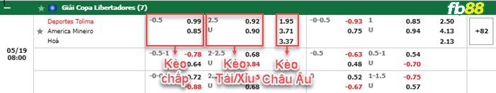 Fb88 bảng kèo trận đấu Deportes Tolima vs America MG