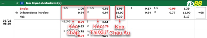 Fb88 bảng kèo trận đấu Emelec vs Independiente Petrolero