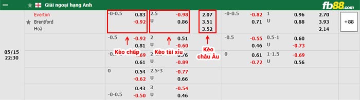 fb88-bảng kèo trận đấu Everton vs Brentford