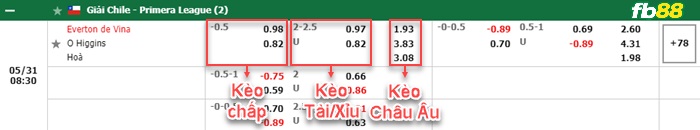 Fb88 bảng kèo trận đấu Everton vs O Higgins