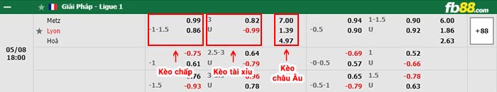fb88-bảng kèo trận đấu FC Metz vs Lyon