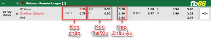 Fb88 bảng kèo trận đấu FC Minsk vs Shakhter Soligorsk