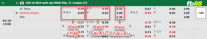 Fb88 bảng kèo trận đấu FC Tokyo vs Kashima Antlers