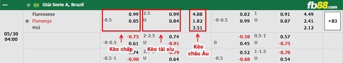 fb88-bảng kèo trận đấu Fluminense vs Flamengo