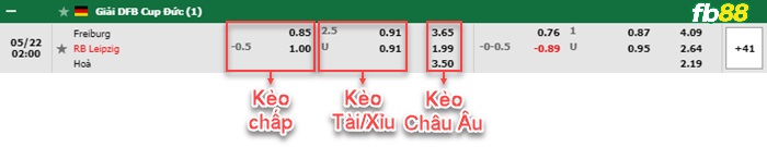 Fb88 bảng kèo trận đấu Freiburg vs Leipzig
