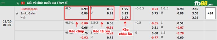 fb88-bảng kèo trận đấu Grasshoppers vs St. Gallen