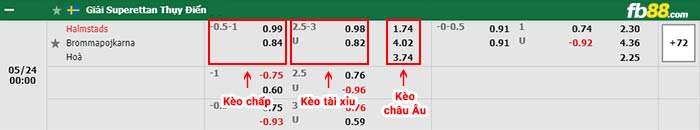 fb88-bảng kèo trận đấu Halmstads vs Brommapojkarna