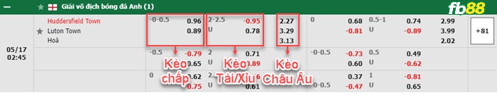 Fb88 bảng kèo trận đấu Huddersfield vs Luton