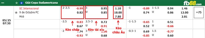 fb88-bảng kèo trận đấu Internacional vs 9 de Octubre