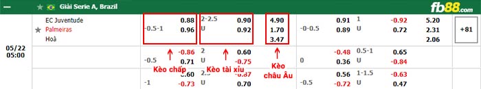 fb88-bảng kèo trận đấu Juventude vs Palmeiras