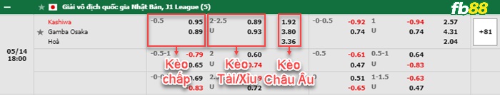 Fb88 bảng kèo trận đấu Kashiwa Reysol vs Gamba Osaka