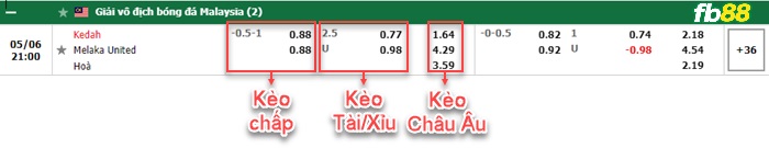 Fb88 bảng kèo trận đấu Kedah vs Melaka United