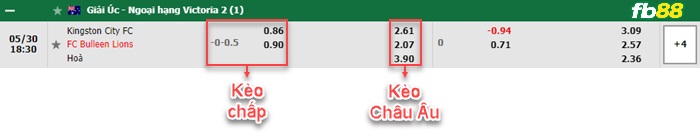 Fb88 bảng kèo trận đấu Kingston City vs Bulleen Lions