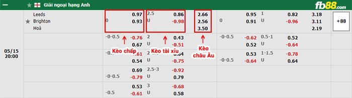 fb88-bảng kèo trận đấu Leeds vs Brighton