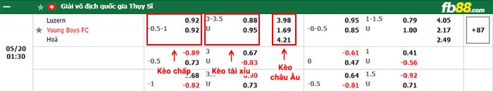fb88-bảng kèo trận đấu Luzern vs Young Boys