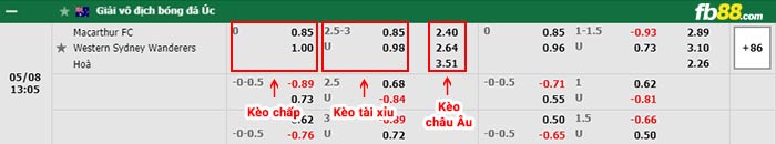 fb88-bảng kèo trận đấu Macarthur vs Western Sydney