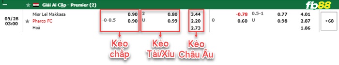 Fb88 bảng kèo trận đấu Masr El Maqassah vs Pharco