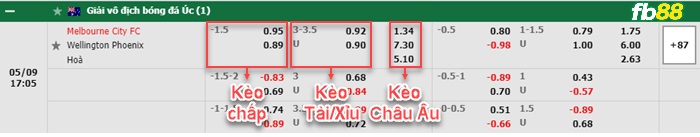 Fb88 bảng kèo trận đấu Melbourne City vs Wellington Phoenix