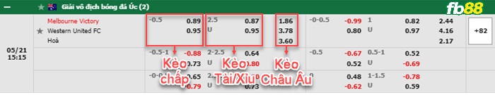 Fb88 bảng kèo trận đấu Melbourne Victory vs Western United