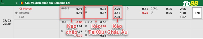Fb88 bảng kèo trận đấu Mioveni vs FC Botosani