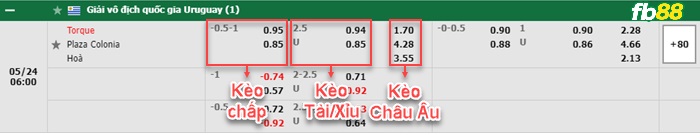 Fb88 bảng kèo trận đấu Montevideo City Torque vs Plaza Colonia