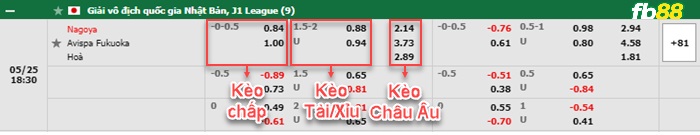 Fb88 bảng kèo trận đấu Nagoya Grampus vs Avispa Fukuoka