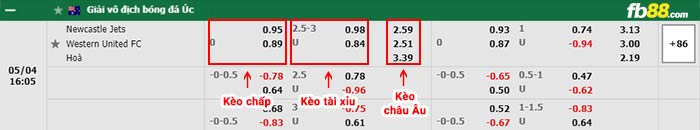 fb88-bảng kèo trận đấu Newcastle Jets vs Western United