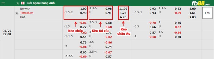 fb88-bảng kèo trận đấu Norwich vs Tottenham