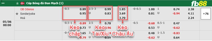 Fb88 bảng kèo trận đấu Odense BK vs Sonderjyske