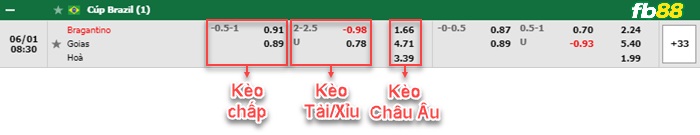 Fb88 bảng kèo trận đấu RB Bragantino vs Goias