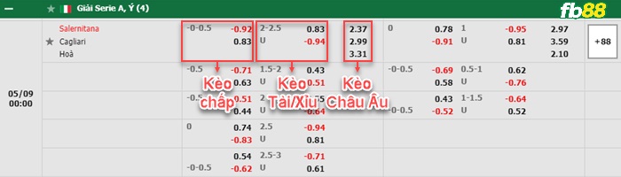 Fb88 bảng kèo trận đấu Man City vs Newcastle