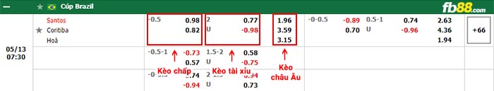 fb88-bảng kèo trận đấu Santos vs Coritiba