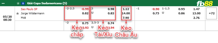 Fb88 bảng kèo trận đấu Sao Paulo vs Jorge Wilstermann