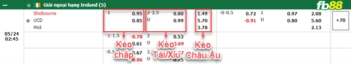 Fb88 bảng kèo trận đấu Shelbourne vs UC Dublin