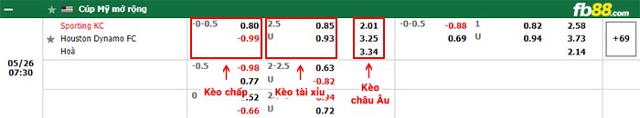 fb88-bảng kèo trận đấu Sporting Kansas vs Houston Dynamo