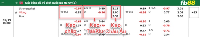 Fb88 bảng kèo trận đấu Stromsgodset vs Viking