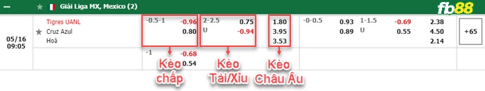 Fb88 bảng kèo trận đấu Tigres UANL vs Cruz Azul