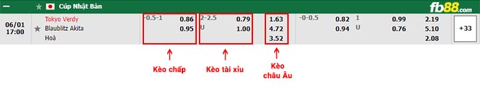 fb88-bảng kèo trận đấu Tokyo Verdy vs Blaublitz Akita