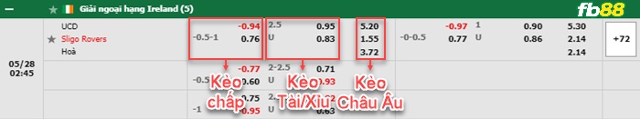 Fb88 bảng kèo trận đấu UC Dublin vs Sligo Rovers