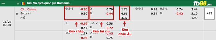 fb88-bảng kèo trận đấu Universitatea Craiova vs Botosani