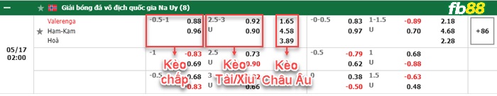 Fb88 bảng kèo trận đấu Valerenga vs HamKam