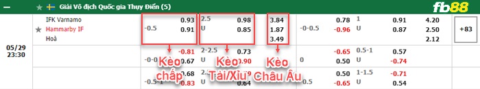 Fb88 bảng kèo trận đấu Varnamo vs Hammarby