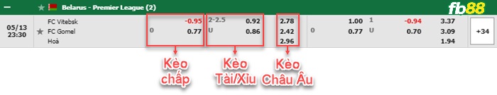 Fb88 bảng kèo trận đấu Vitebsk vs Gomel