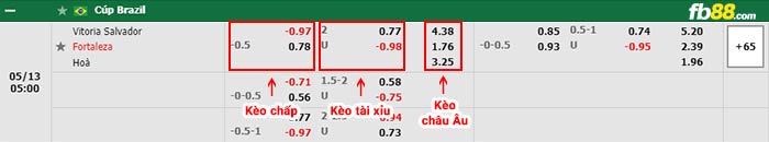 fb88-bảng kèo trận đấu Vitoria Salvador vs Fortaleza