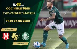 Fb88 bảng kèo trận đấu Petrolero vs Palmeiras