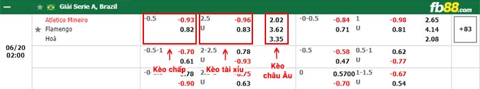 fb88-bảng kèo trận đấu Atletico Mineiro vs Flamengo