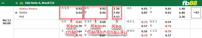 Fb88 bảng kèo trận đấu Atletico Mineiro vs Santos