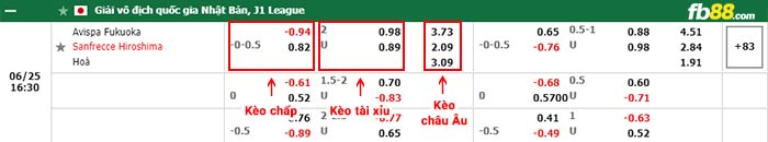 fb88-bảng kèo trận đấu Avispa Fukuoka vs Sanfrecce Hiroshima